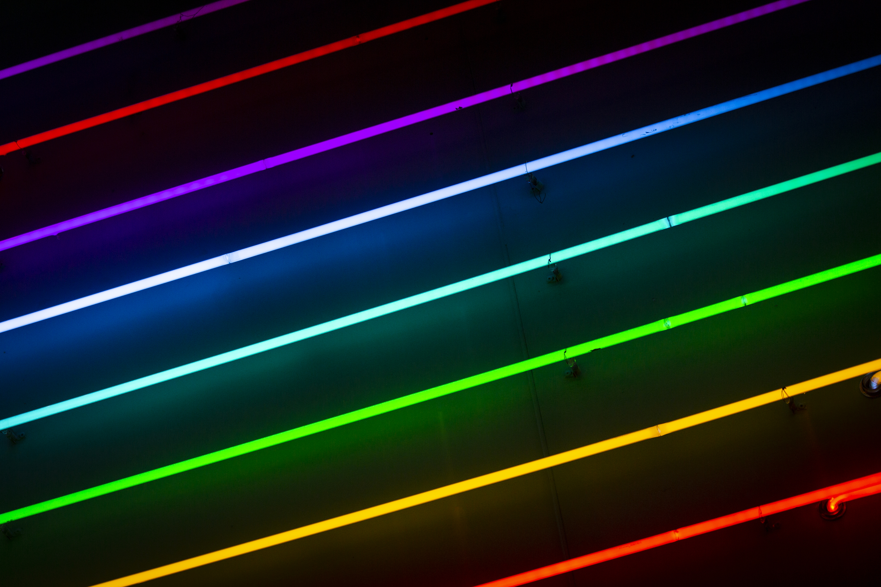 Neon lights in different colors on black background